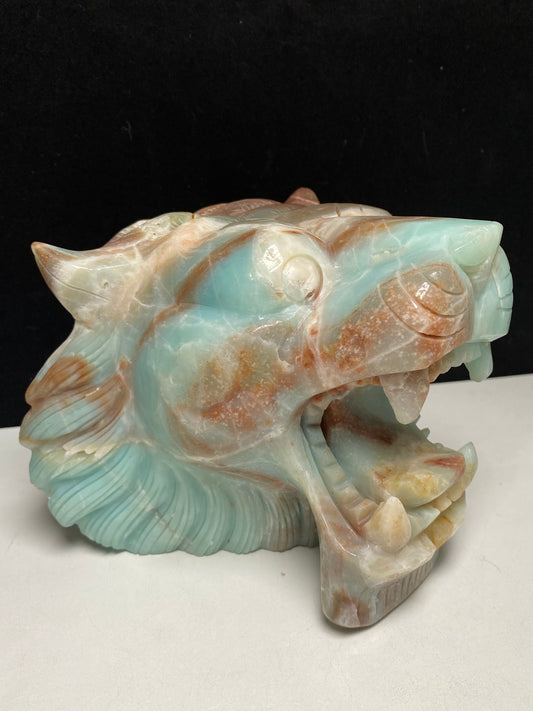 Caribbean calcite tiger head #4581
