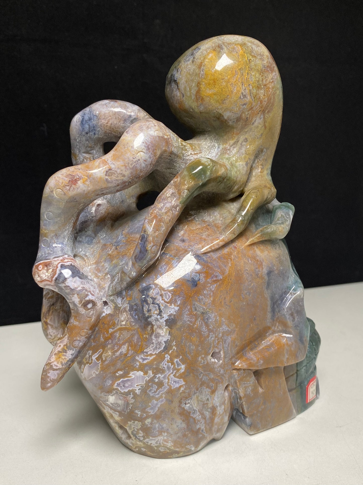 074-Ocean jasper octopus on skull carving #2762