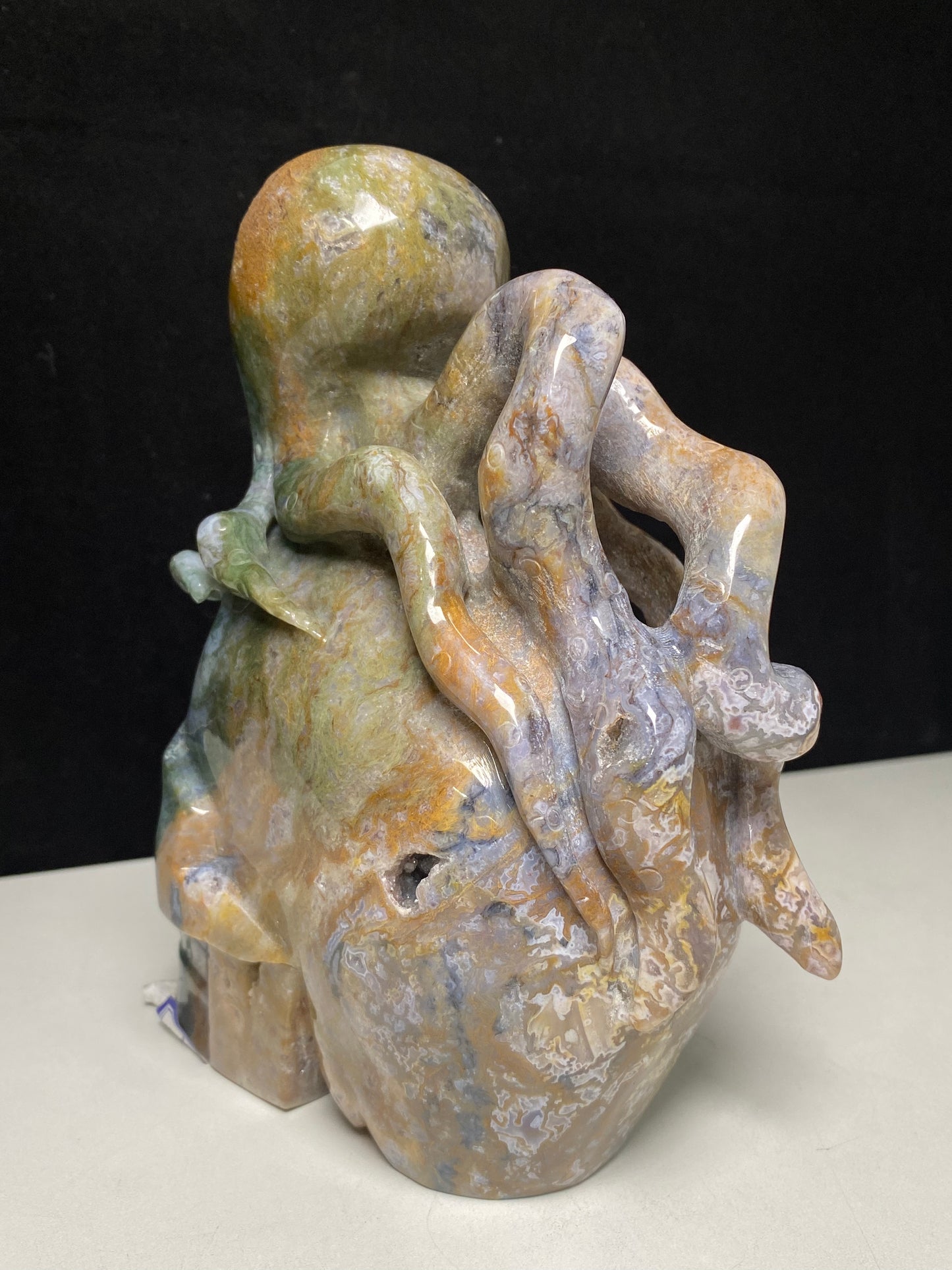074-Ocean jasper octopus on skull carving #2762