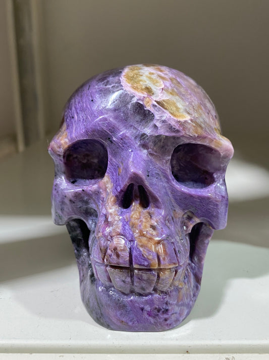 Chariote skull #1230